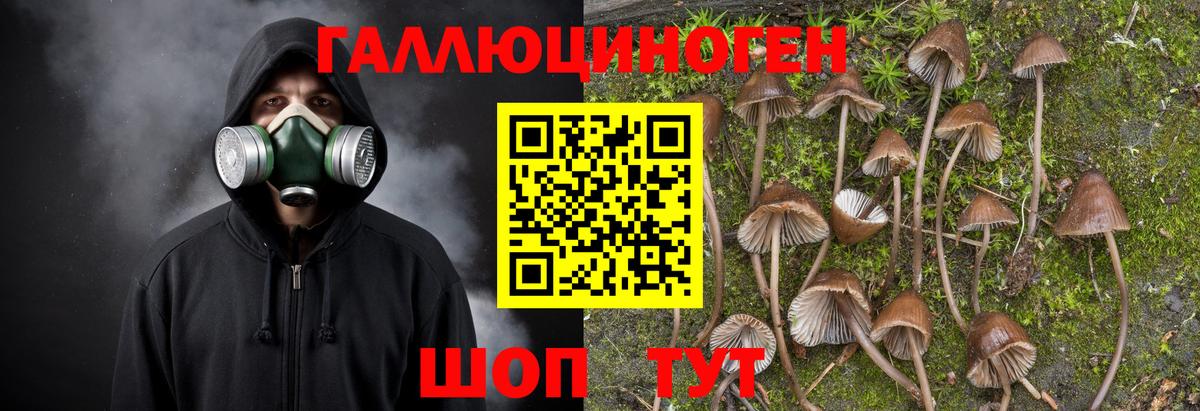 Псилоцибиновые грибы мицелий Богородицк