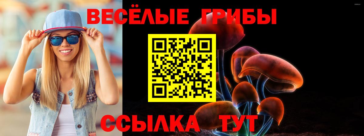 где купить наркотик  Вход с VPN  Богородицк  Галлюциногенные грибы мухоморы  Галлюциногенные грибы Cubensis 